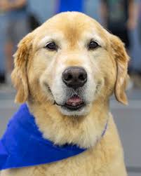 Alumni Spotlight! As we celebrate graduation this week, we highlight a  100-year legacy of one St. Xavier family. The legacy of the Rouse Family  runs deep through the Long Blue Line, and