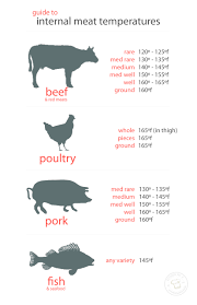 meat temperature guide modern white food meat cooking