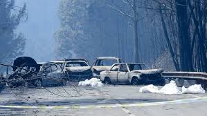 Noticias de incendio en portugal. Incendio En Portugal La Carretera De La Muerte Internacional El Pais