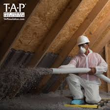 Best pest control companies in cedar rapids. Preparing For An Attic Cap Service With Tap Pest Control Insulation Tap Pest Control Insulation