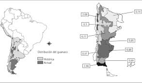 Check spelling or type a new query. Zquierda Distribucion Del Guanaco En America Del Sur Modificado De Download Scientific Diagram