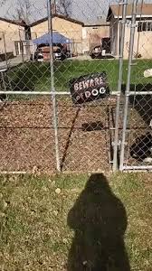 Beware Of Dog Lustige Bilder Von Tieren Lustige Tierbilder Hund Funnies