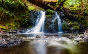 Fotos gratis : paisaje, naturaleza, bosque, cascada, Arroyo, desierto, hoja, río, país, soledad, arroyo, rural, escénico, otoño, rápido, Cuerpo de agua, Washington, Árboles, al aire libre, Hdr, selva, serenidad, hermosa, Cascada de