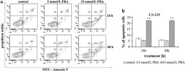 Geben sie jetzt die erste bewertung ab! Phenylbutyrate A Pan Hdac Inhibitor Suppresses Proliferation Of Glioblastoma Ln 229 Cell Line Springerlink