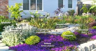 Beautiful drought tolerant plants that will grow in most northern california yards. Drought Tolerant Drought Tolerant Garden Drought Tolerant Landscape Drought Tolerant Landscape California