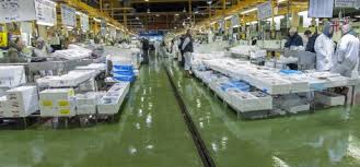 polyurethane self leveling floor ile ilgili görsel sonucu