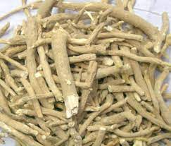 Including a series of polyacetylenes, polyphenolic compounds, acidic polysaccharides, and tetracyclic triterpenoid saponins (ginsenosides). Ashwagandha Roots Withania Somnifera Root Raw Ashwagandha Indian Ginseng Root à¤…à¤¶ à¤µà¤— à¤§ à¤° à¤Ÿ à¤¸ à¤…à¤¶ à¤µà¤— à¤§ à¤° à¤Ÿ In Maruti Temple Road Karwar Prakruti Products Pvt Ltd Id 15898558291