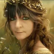 I'm looking for this