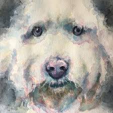 After all, there are a number of fine details in the iris and pupil such as fractured light and speckles of brilliant follow these tips on how to paint eyes using acrylic paint! Tutorial How To Paint A Dog Portrait In Watercolour Ken Bromley Art Supplies