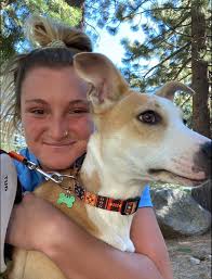 Hi, I'm Georgie, I'm currently looking for anyone who needs babysitting or  dog-sitting over the Christmas period. I have a WWVP, working with  children's checks, and a child-safe certificate. I also have