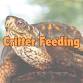 Critter Feeding event image