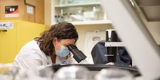 Damaged Lungs Breathe Life into UK COVID Research