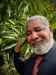 Eggplant, good source of blood supply. Commonly used in developing  countries.