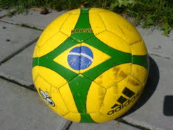 When you buy a buyenlarge humming birds at the brasils by j. Brasils Herrelandslag I Fotball Wikipedia