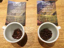 注目の「ボリビアコーヒー」を丸山珈琲で飲み比べ！コーヒーの美味しさを実感する | おうちごはん