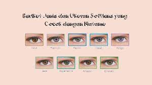 Setelah cahaya masuk melewati kornea, selanjutnya cahaya akan menuju ke pupil. Tips Tata Cara Menentukan Jenis Dan Ukuran Softlens Yang Cocok Dengan Matamu Tribun Sumsel