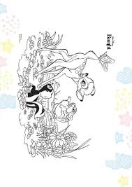 Libro Colorear Disney