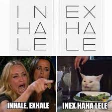 The Absolute Best Woman Yelling At Cat Memes Seriously Only The Good Ones Funny Cat Memes Cat Memes White Cat Meme And this meme is so funny!