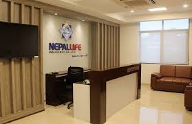 Get the facts about te. Nepal Life Insurance Company Charting New Heights New Business Age Leading English Monthly Business Magazine Of Nepal