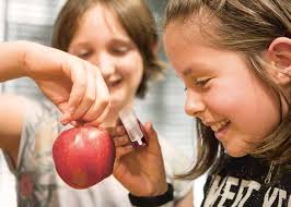 Von Südtiroler Bäuerinnen lernen. Kurse, Dienstleistungen und Projekte für  Groß und Klein.