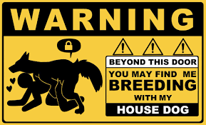 Doggo girl🐾 @zoo_zooslut2025 - Twitter Profile | Sotwe