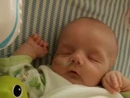 Fundraiser for Andy Hoffman by Mike Wastler : Baby Hoffman