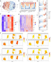 Image result for Pimpinella sp. A. of FZ 4: 594