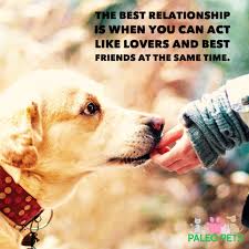 Love Your Pets Dogs Animals Quotes Paleopets Cute Animals Puppies Cute Animal Quotes Funny Dog Faces