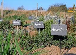 We did not find results for: Rostock Feldgarten Bieten Beete Zum Mieten