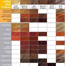 Seven Easy Rules Of Preference By L Oreal Hair Color Chart