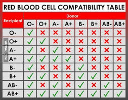 Tabla De Compatibilidades Donantes De Sangre Tipos De Sangre Hematologia Serologia
