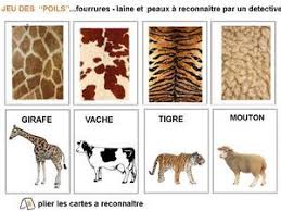 Theme Des Agents Tres Tres Secrets 1 Et 2 Et 3 Doudous Patrons Patterns Gabarits Fete A Themes Pour Enfants Animaux Activites Animales Animaux De La Savane