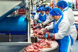 De leuzen van de 25 actievoerders die donderdagmiddag bij slachterij westfort in ijsselstein laten aan duidelijkheid niets te wensen over. Directeur In Opspraak Geraakte Slachterij Beelden Van Varkens Die Worden Geslagen Doen Ons Ook Zeer Utrecht Ad Nl