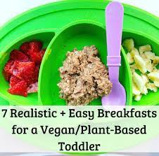 Tuck into a nutritious, hearty veggie breakfast to keep you energised for the day. 7 Realistic Easy Breakfasts For Vegan Plant Based Toddler