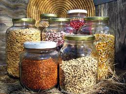 Seed banks also allow for faster recovery from an environmental or natural disaster that can strike in an instant. Not Angka Lagu Advantage Of Storing Seeds In Seed Banks From Lack Of Diversity To Lack Of Funding Seed Banks Face The First Seed Bank Was Established In 1921