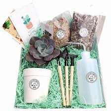 We did not find results for: Succulents Box Enjoy Your Weekend With Our Cutie Succies Milled