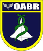 Does the nbt evo id6 need ethernet on both the quadlock as well as on the oabr connector? Oabr Pagina Inicial