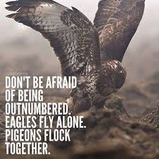 Proverb Birds Of A Feather Flock Together Quotes Click On The Image To Visit Our Website For Inspirational Apparel Posters And Videos Inspiredaily Hardwork Youcandoit Eagles Inspirational Quotes Quotes