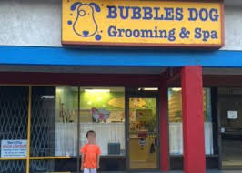 My boys all go there, and my rescue is quite scared when he gets groomed. 3 Best Pet Grooming In Huntington Beach Ca Expert Recommendations