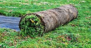 Vegetationsmatten Dach Oder Bodendeckende Begrunung Dachbegrunung Fassadenbegrunung Aussenanlagen