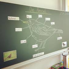 Die Amsel Als Kurzes Zwischenthema Bevor Es Mit Dem Gewimmel Auf Der Wiese Weitergeht Heute Haben Wir Die Korperte Schulideen Amsel Sachunterricht Grundschule