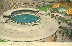 Discounts at local sister attractions, including the florida aquarium, clearwater marine aquarium, and the museum of science and industry. 39 Aquatarium St Pete Beach Ideas Beach Florida Petersburg
