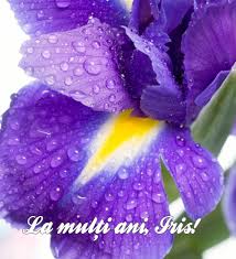 Sa ai parte de multe realizari, bucurii si de tot ce e mai bun si mai frumos in viata! Mesaj De Florii La Multi Ani Iris Unica Ro