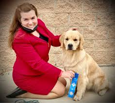 Maybe you would like to learn more about one of these? Gamechanger Golden Retrievers Golden Retriever Gallery