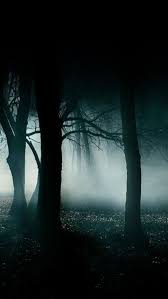 Check spelling or type a new query. Dark Creepy Forest Iphone 5 Wallpaper Id 39946