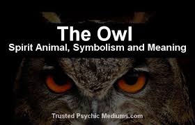 The Owl Spirit Animal A Complete Guide To Meaning And Symbolism Owl Spirit Animal Spirit Animal Spirit Animal Meaning