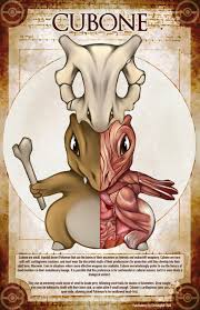 Check spelling or type a new query. The Multiverse Library Another Day Another Pokemon Dissection