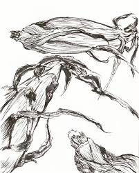 Anzac Day Was About War N Those Poppies Sadly I Couldnt Do A Drawing Yesterday Felt Sorry For Those Who Had Lost The Black And White Drawing Drawings Art Day