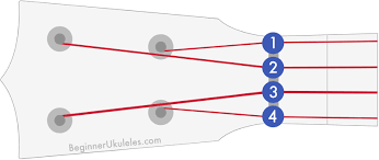 Ukulele String Notes Names Numbers What You Need Know