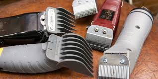 Wahl professional cordless magic clip. Pin On Hair Beauty